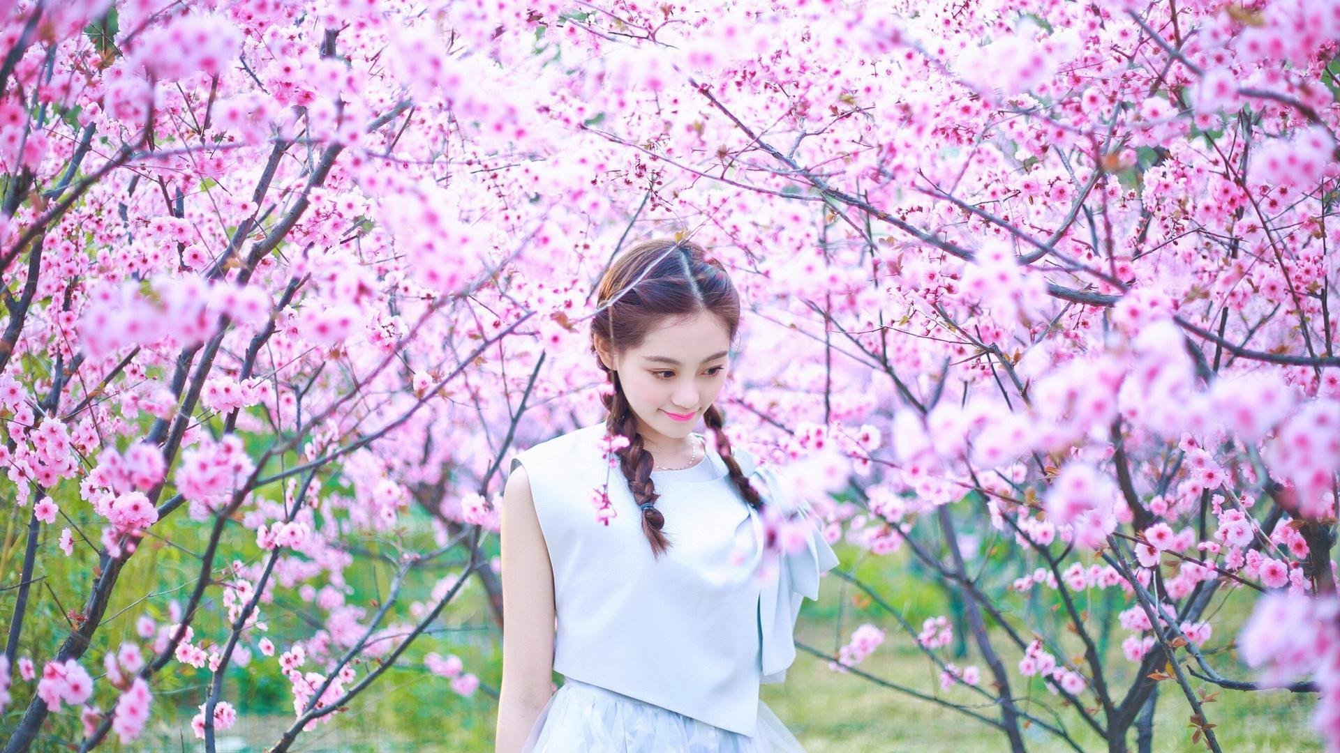 王者归来!国王横扫尼克斯,布克狂飙50分惊艳全场