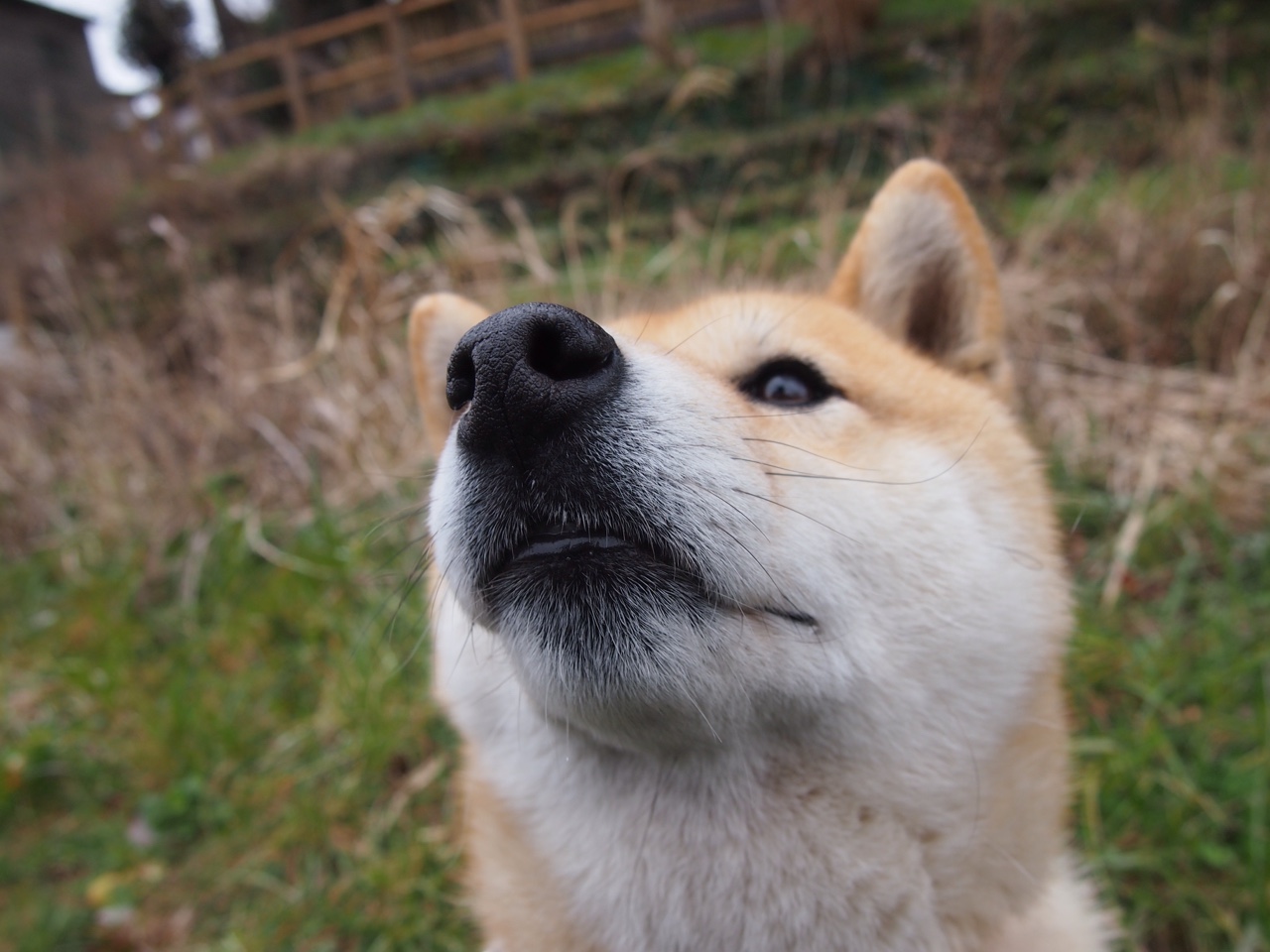 孤岛扬帆,风浪中的坚韧—米切尔扛起全队实现篮网惊天逆转