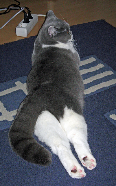 独闯龙潭，冰火淬炼，高诗岩率吉林逆转魔术启示录