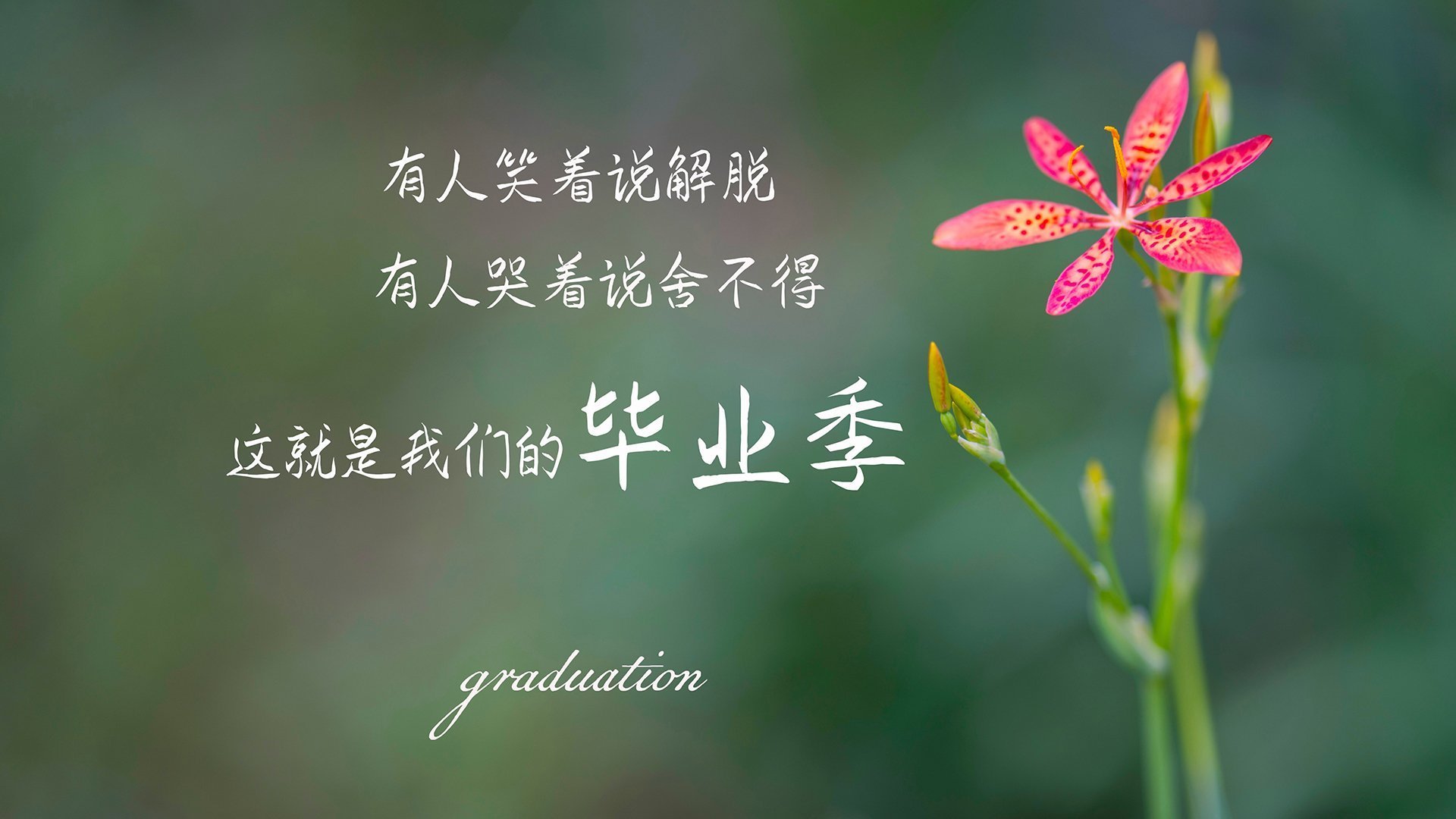 绿茵场与球台,一场关于个体与团队的伟大共振