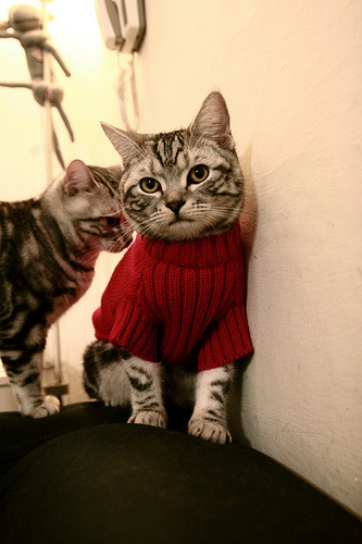 舞台的放大镜，卡塔尔对阵埃及之夜，唯一性的光芒照亮李刚仁