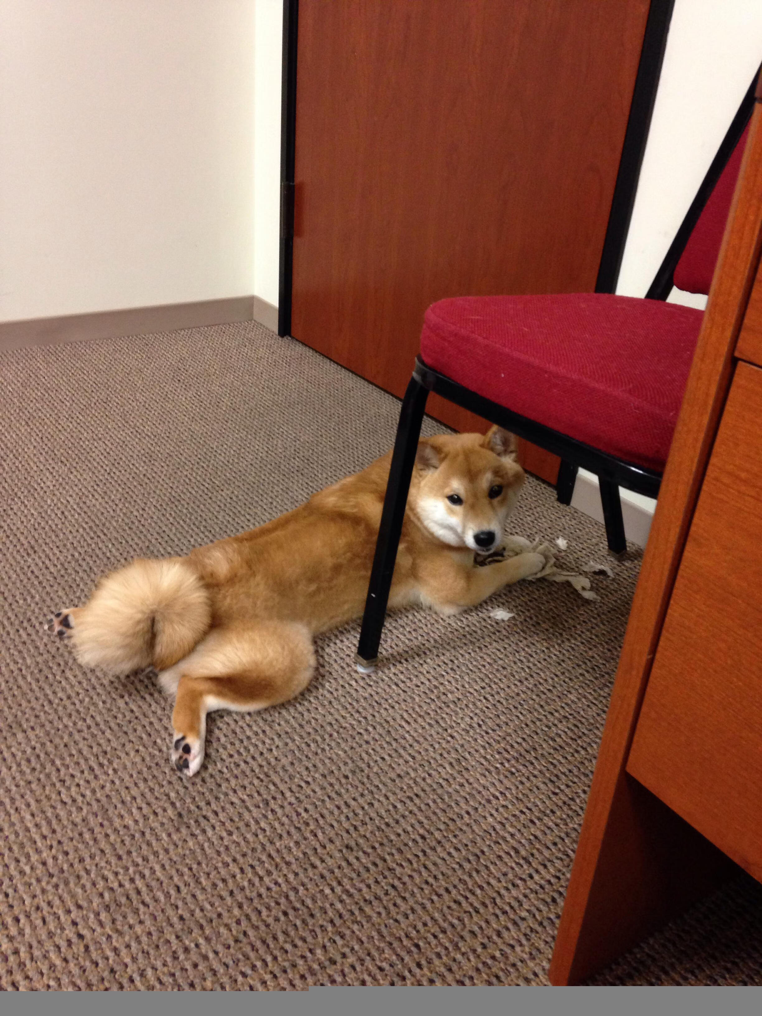 地球两端的同步脉动，当F1引擎在巴林嘶吼，足球在摩洛哥的夜色下鏖战