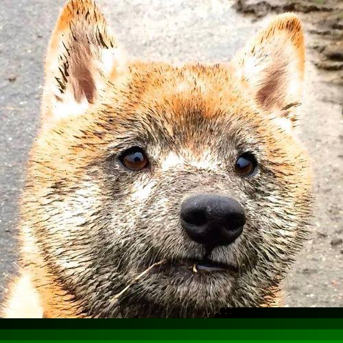 黄与蓝的虚构对决，当比利亚雷亚尔遇见厄瓜多尔