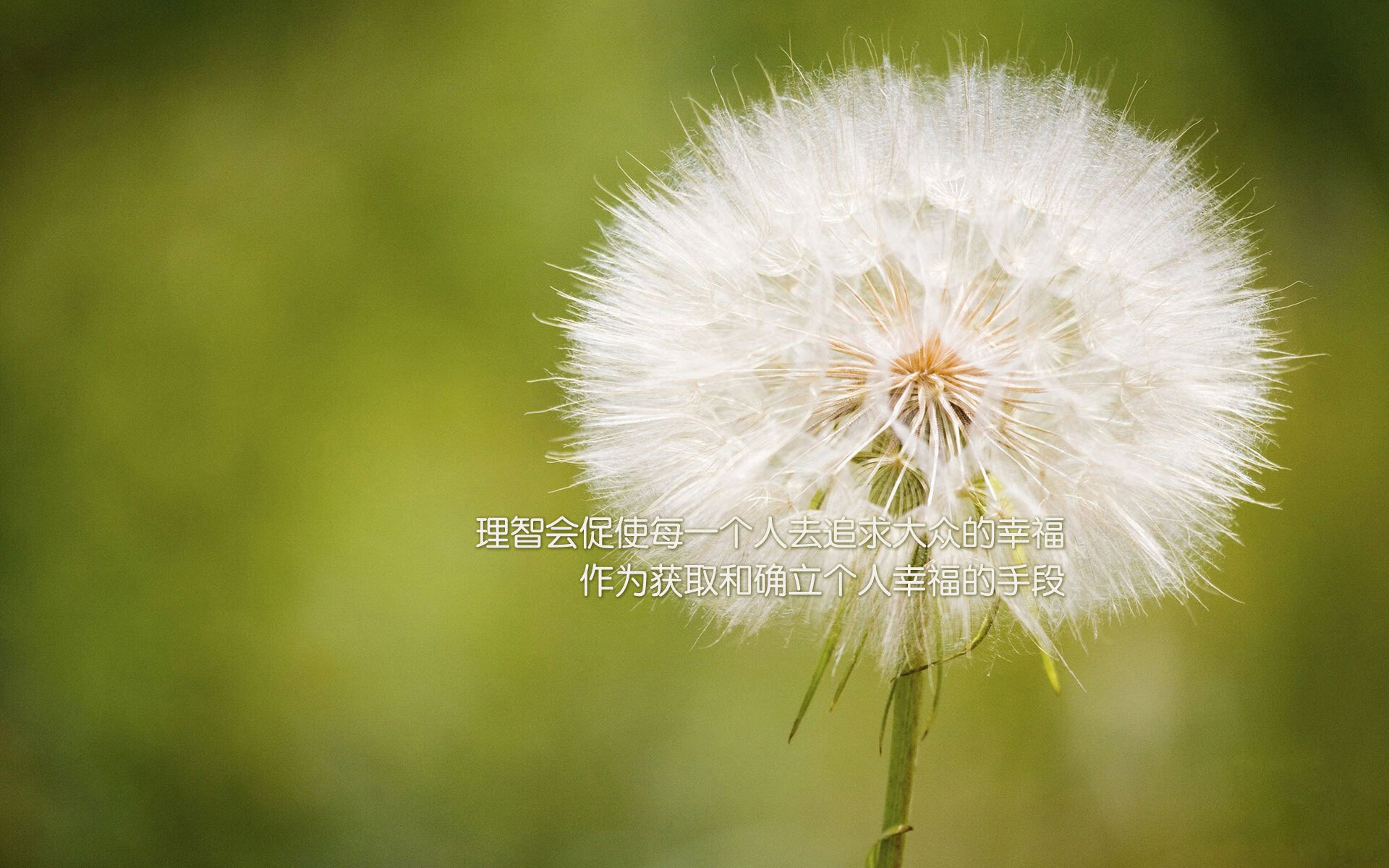 欧冠淘汰赛焦点战，切尔西力克莱比锡红牛，争冠征程再进一步