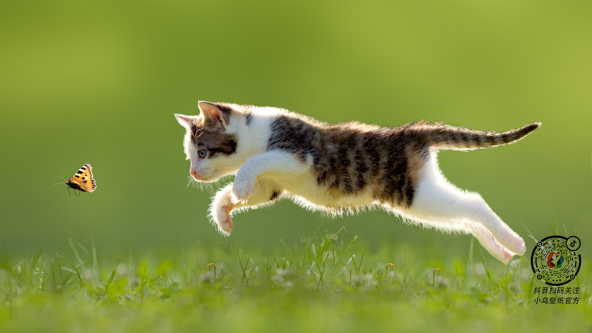 石油资本与铁血意志的对决，当卡塔尔风暴横扫毕尔巴鄂，德里赫特铸就防线丰碑