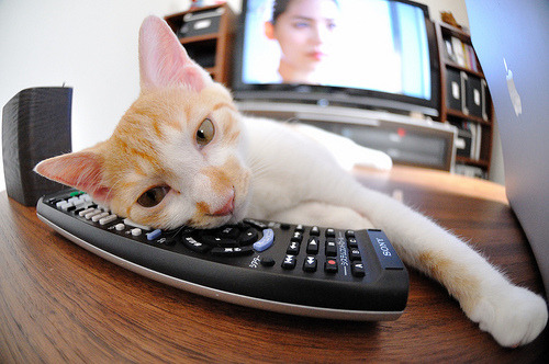 微小齿轮，F1年度争冠之夜的隐形胜负手阿尔瓦雷斯