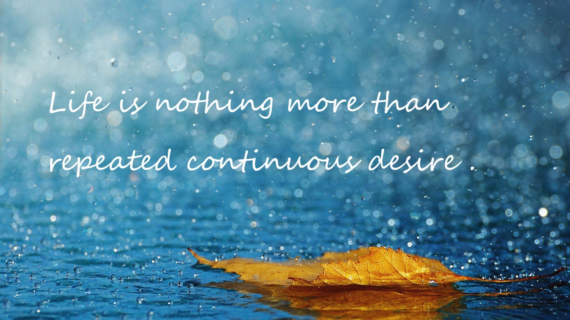 欧冠传奇夜，曼联的破碎艺术如何让多特蒙德迷失