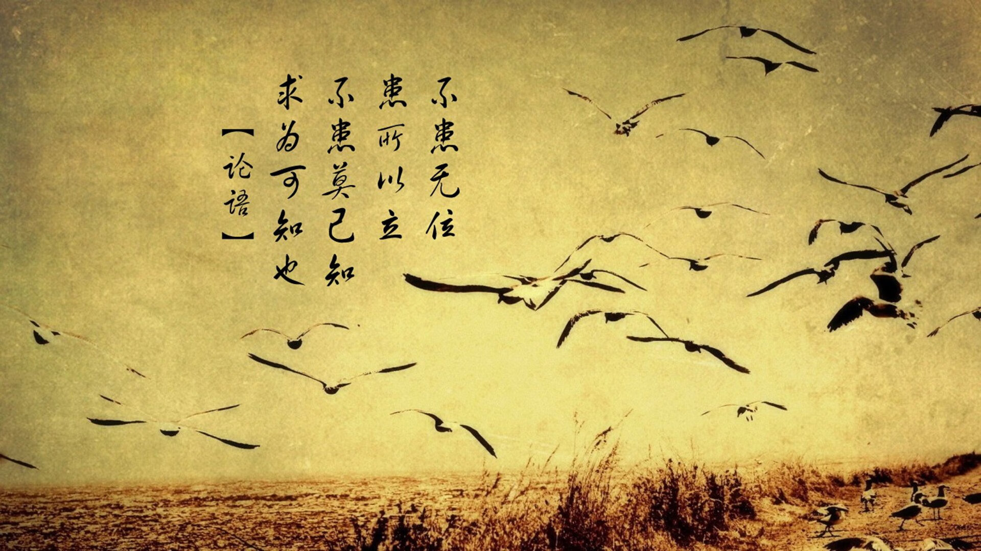 绝地绞杀！活塞窒息防守终结山西，克莱连珠三分轰塌长城