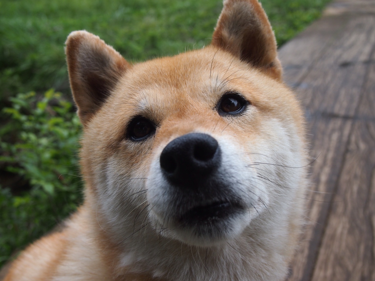 终结意甲悬念，亚洲魔术师接管比赛！尼斯如何用连续得分压制亚特兰大？