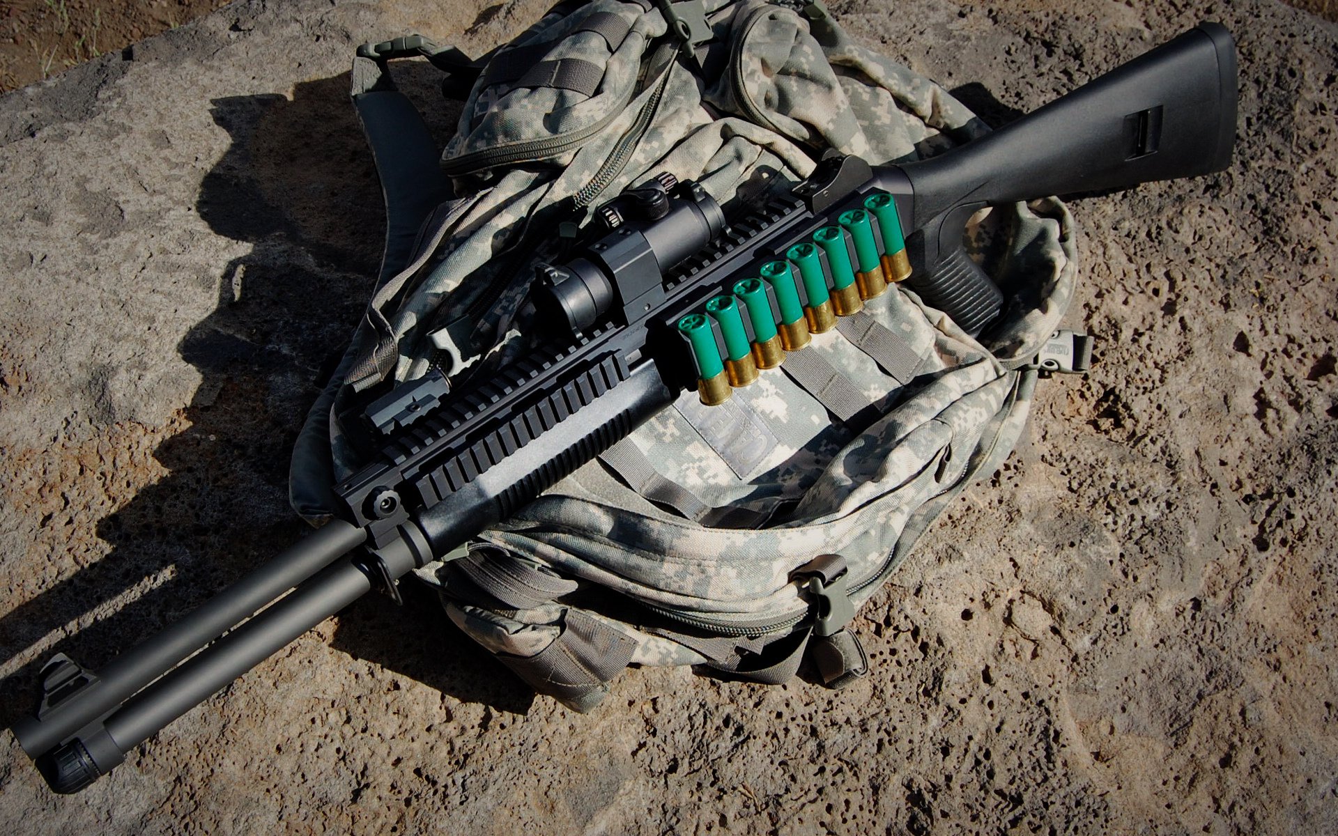 雄鹿战术启示录，2026世界杯如何终结森林狼式劲敌？