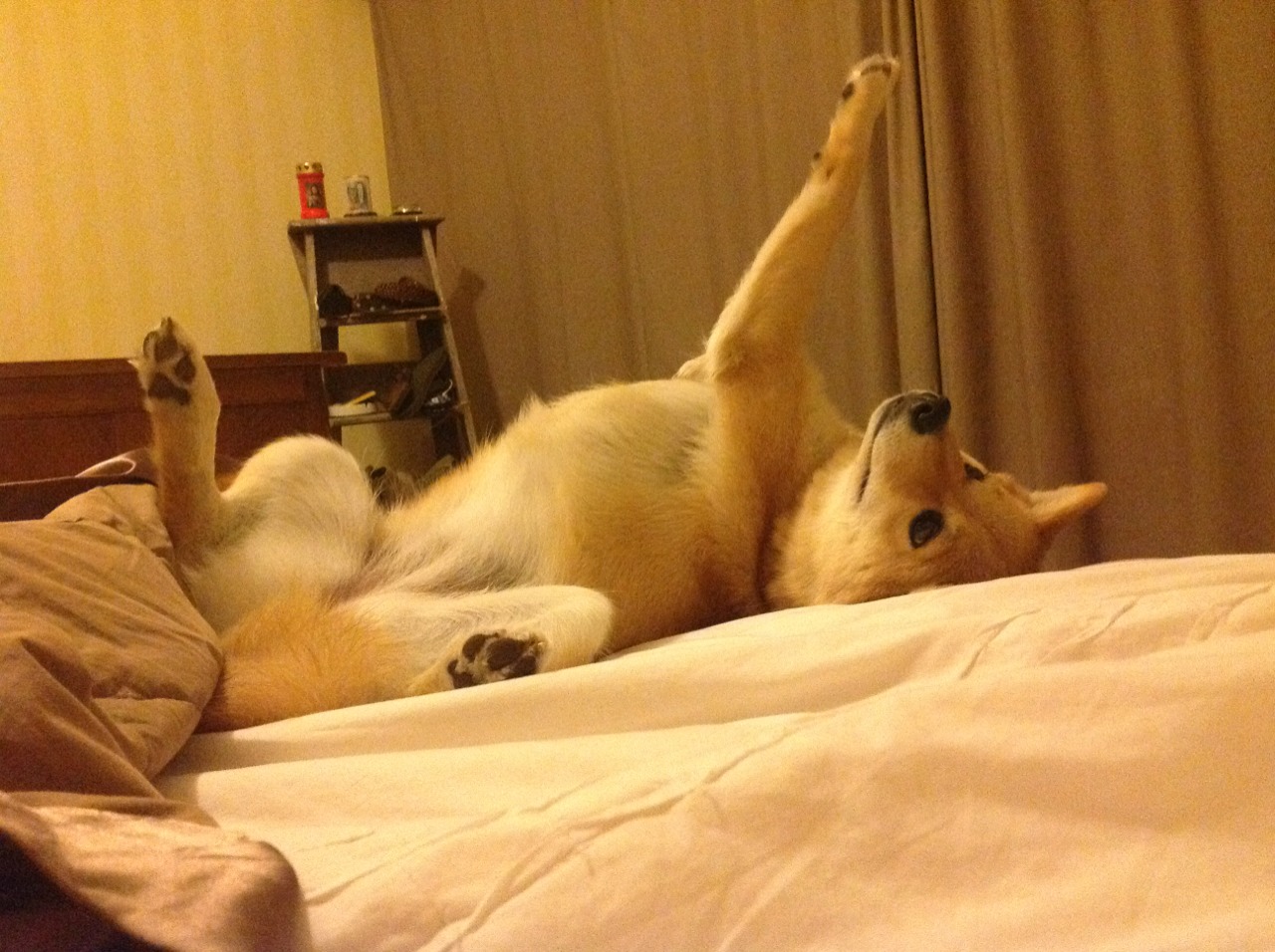 爱游戏在线-铁蹄踏碎铁壁，西决生死战萨城勇者攻克坚城