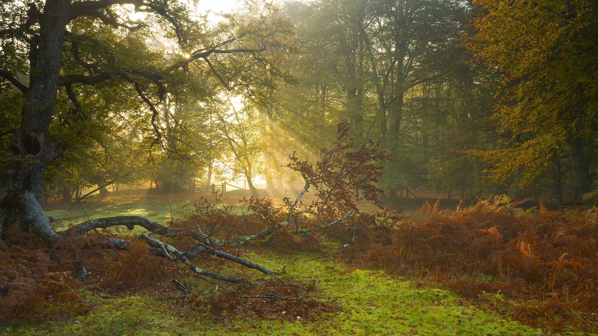 爱游戏入口-防线与体系的对话，毕尔巴鄂如何用思维与节奏打穿沙特坚壁，若日尼奥成为隐形关键先生