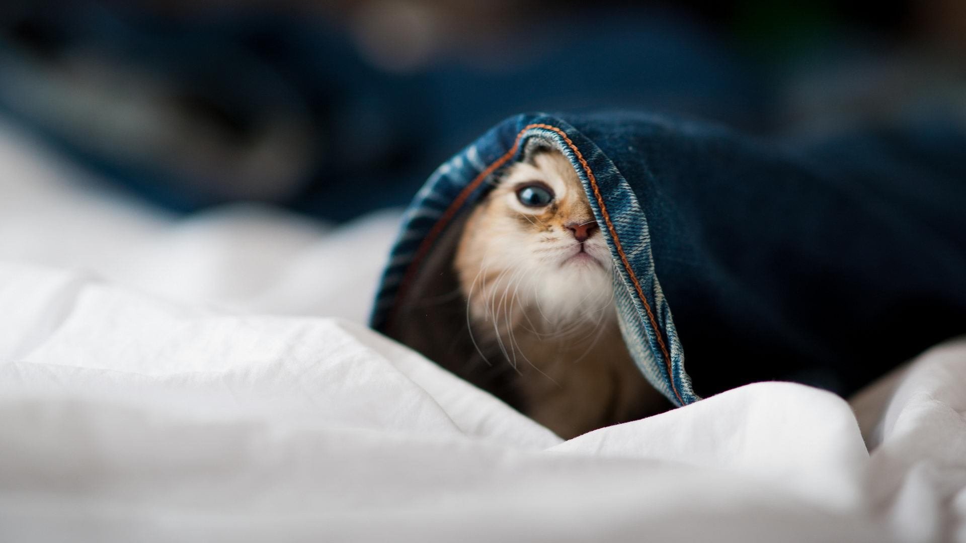 爱游戏体育-南美狂想曲压倒东方长城，哥伦比亚战术如何锁死中国生机？