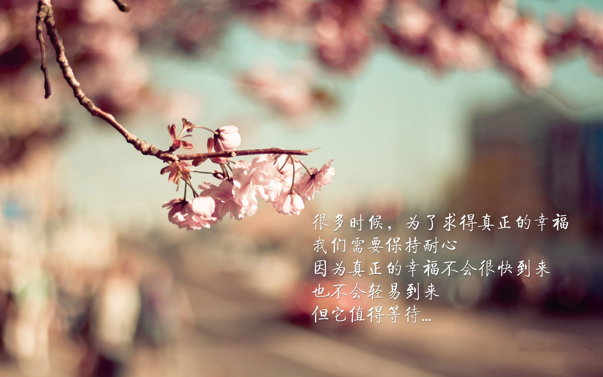 暗夜中的黑星，2026世界杯E组加纳逆转波兰，卢卡库的孤勇与悲情