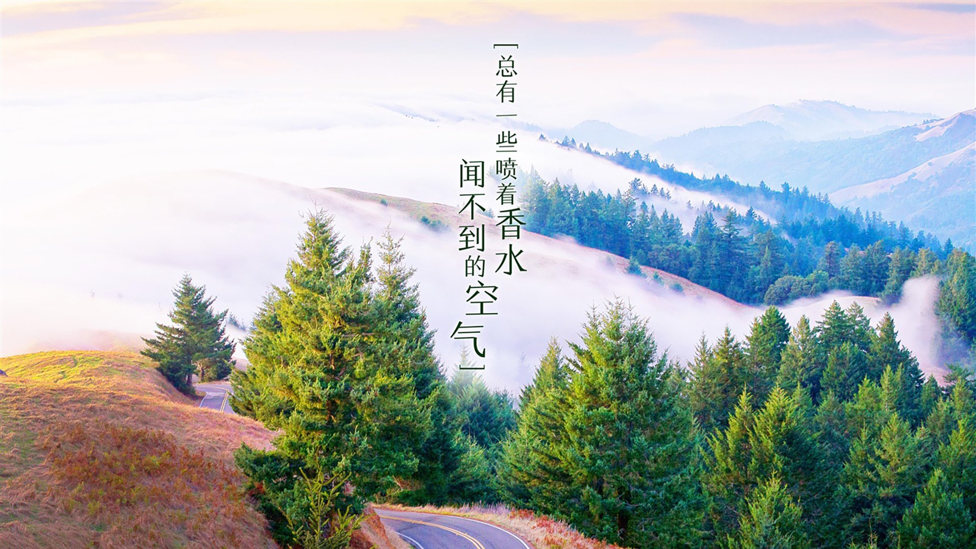 沙漠中的冷雨,当越南用节奏撕碎沙特,费利克斯的致命一击改写2026世界杯剧本