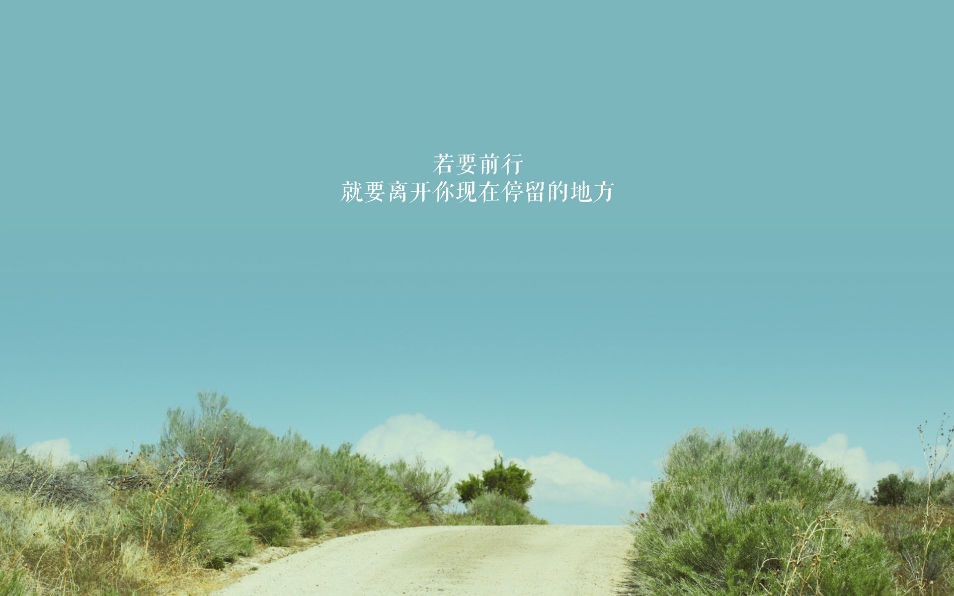 命运之弧,2026世界杯巅峰对决,哈基米如何用速度撕裂红魔防线